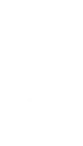 MN Logo
